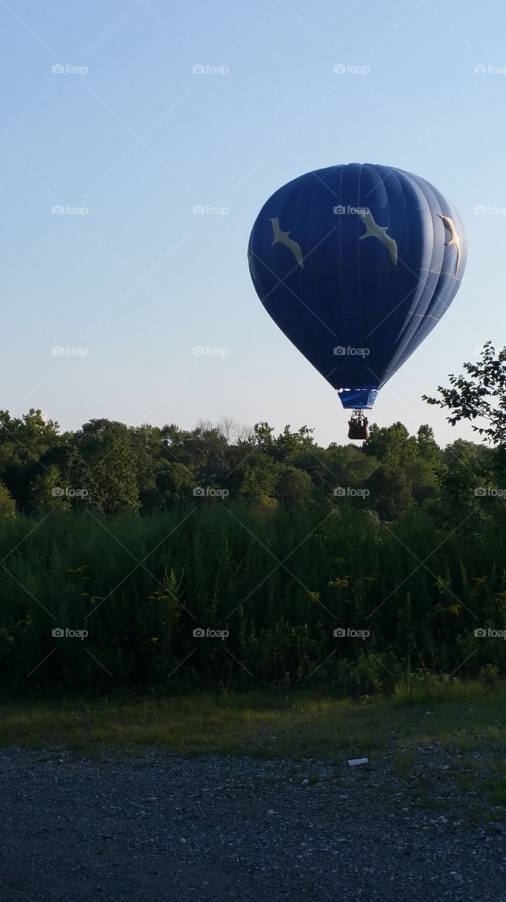 navy blue hot air balloon