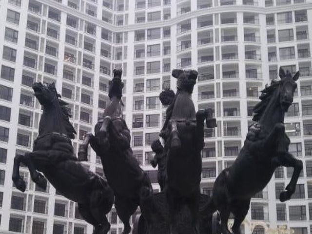Horses and windows 