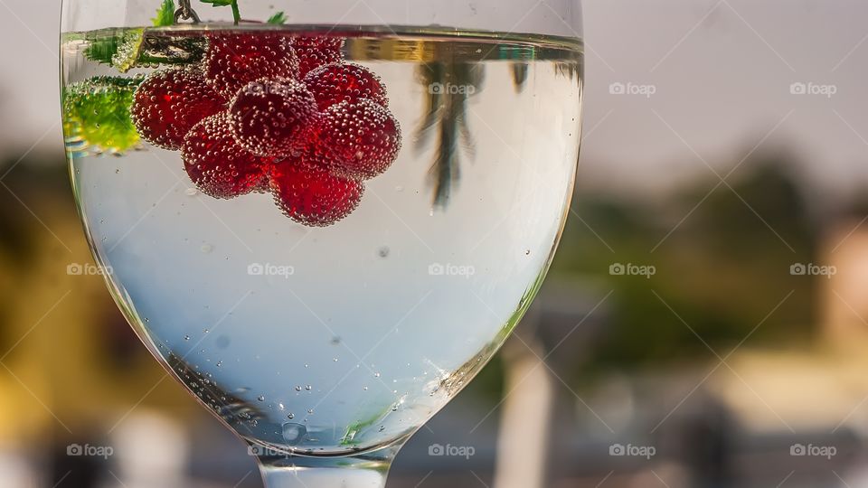 Tomatoes in wineglass of water