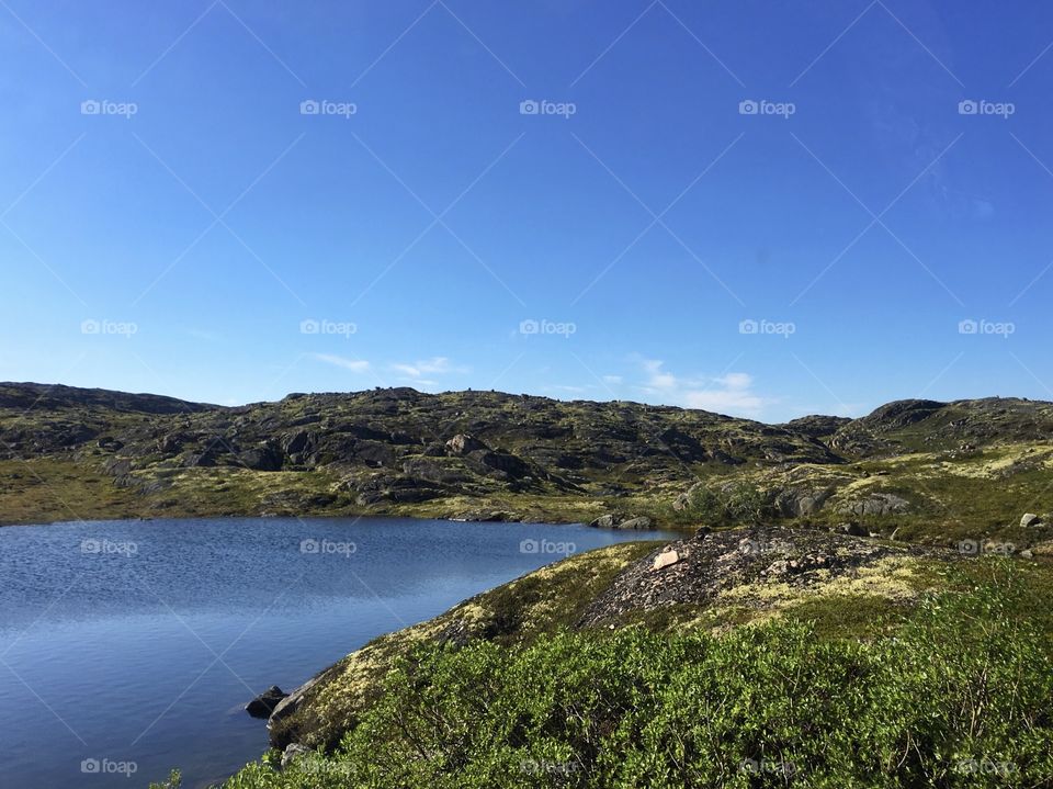 Lake in tundra 