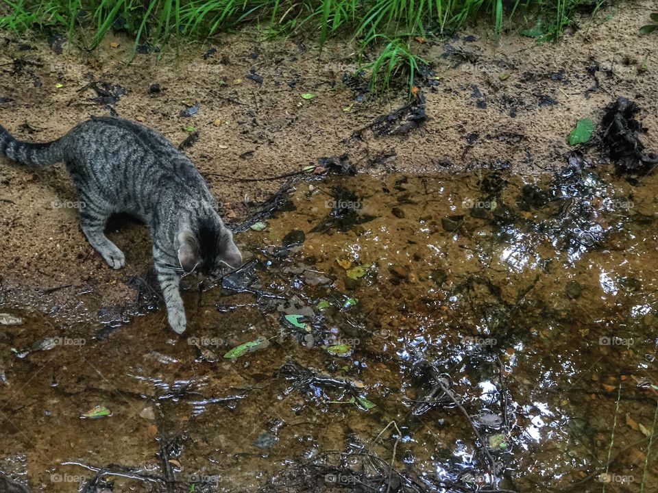 Testing The Water