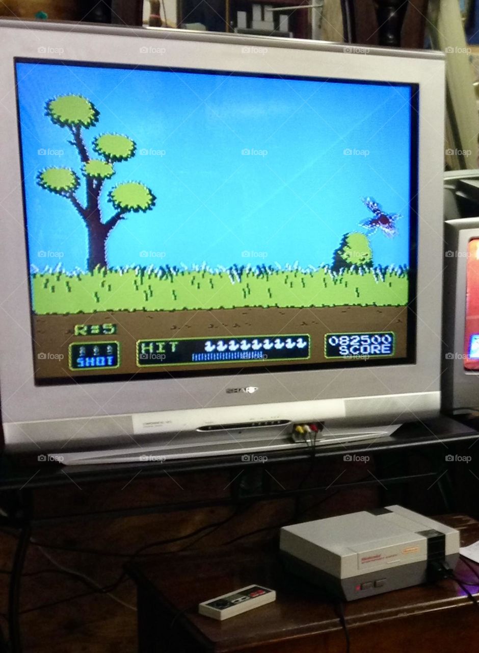 The charm of 80s gaming - A nostalgic moment from 1984, showcasing the iconic Duck Hunt game, a classic light gun shooter developed by Nintendo. On screen, the vivid pixelated ducks fly across a simple, yet engaging, countryside backdrop.