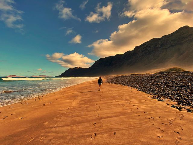 Take a walk on the wild side