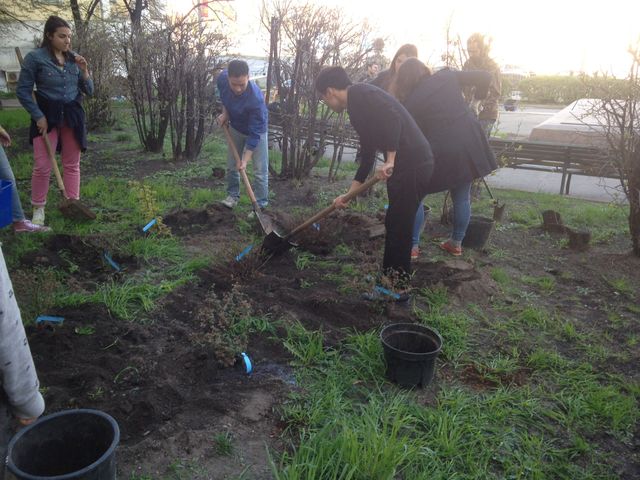 Gard14. Garden 