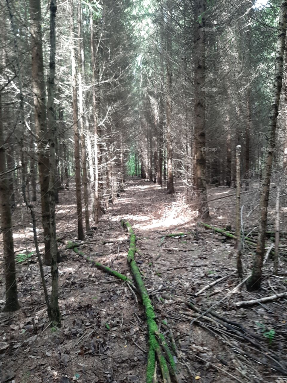 Как   тунель!