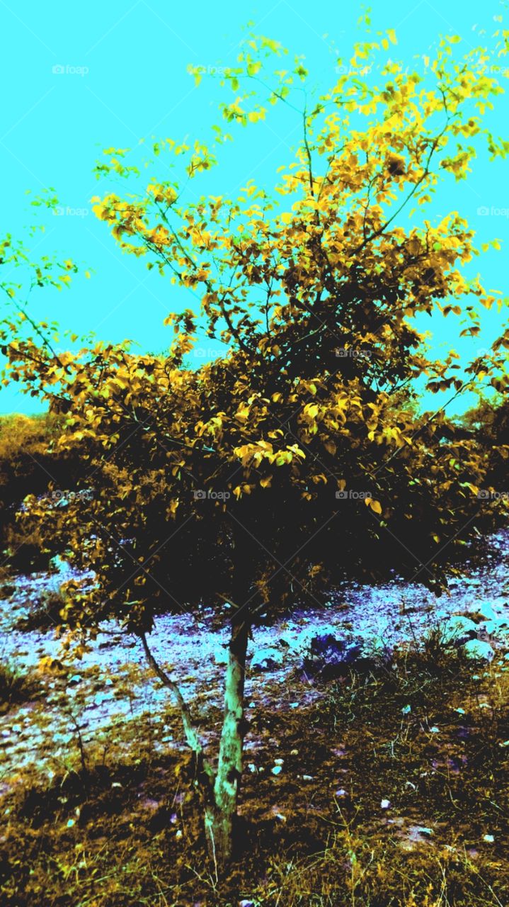 beautiful image click in mountain