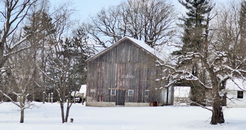 Old Barn Bore