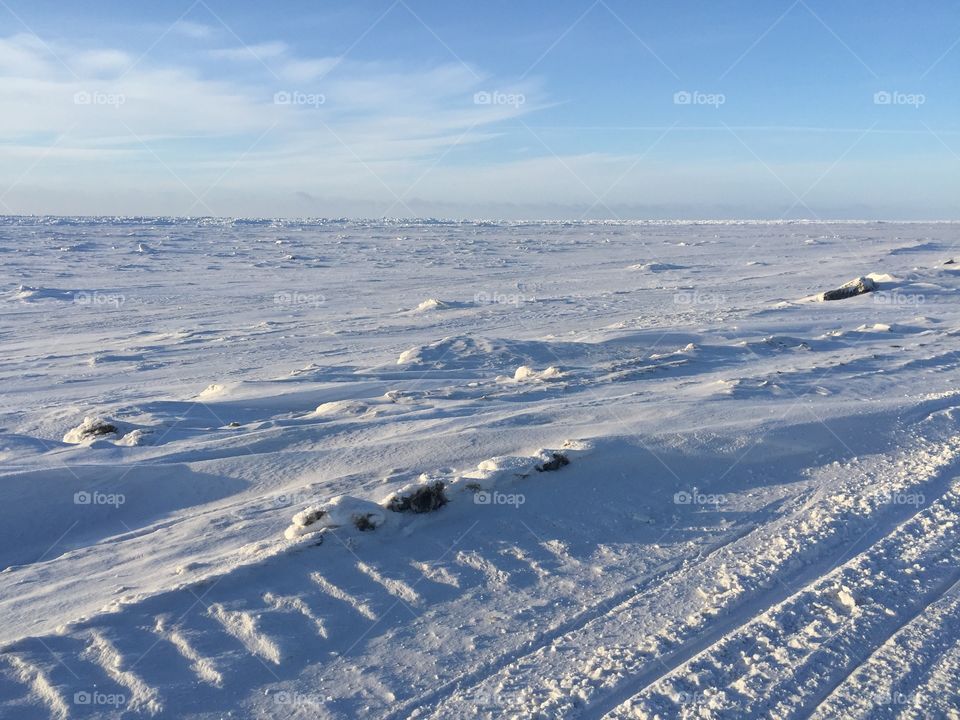 Arctic Beach Winter