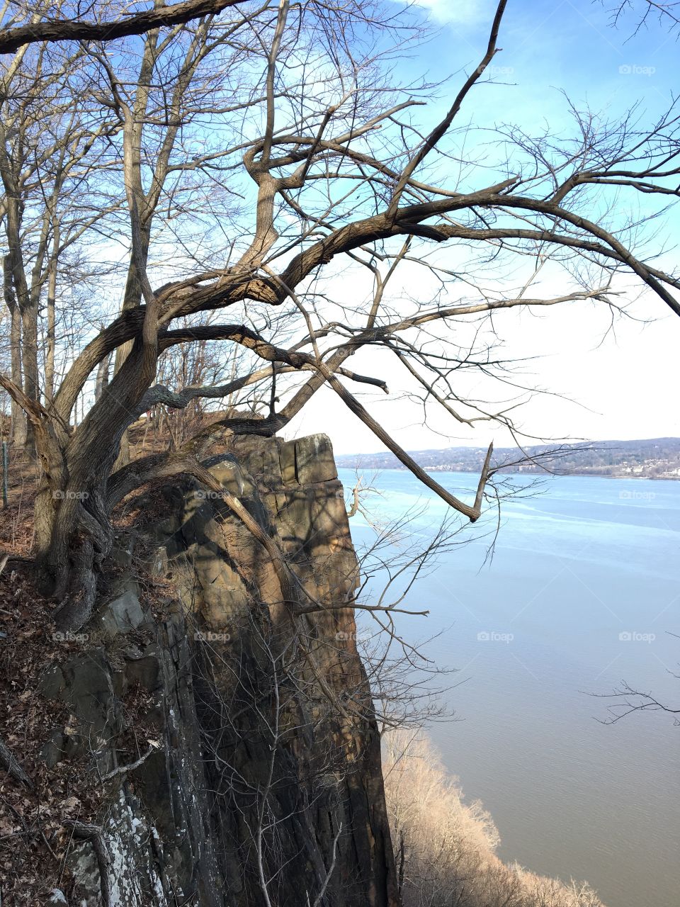Palisades / cliff, tree and river