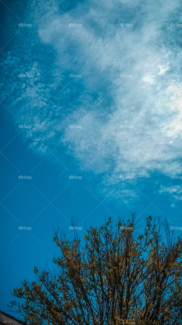 altocumulus sky blue