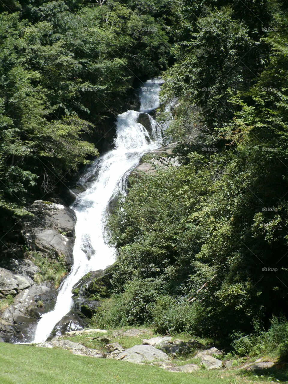 Water, Nature, Waterfall, River, Stream