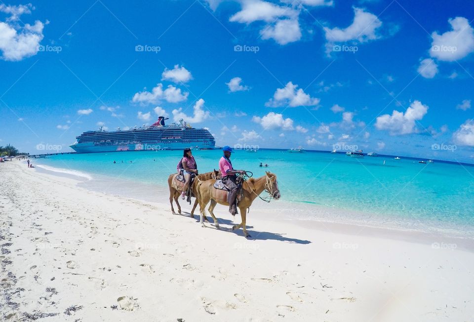 Horse on beach