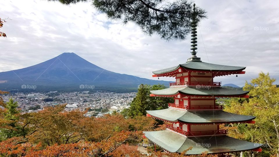 Views of Mount Fuji