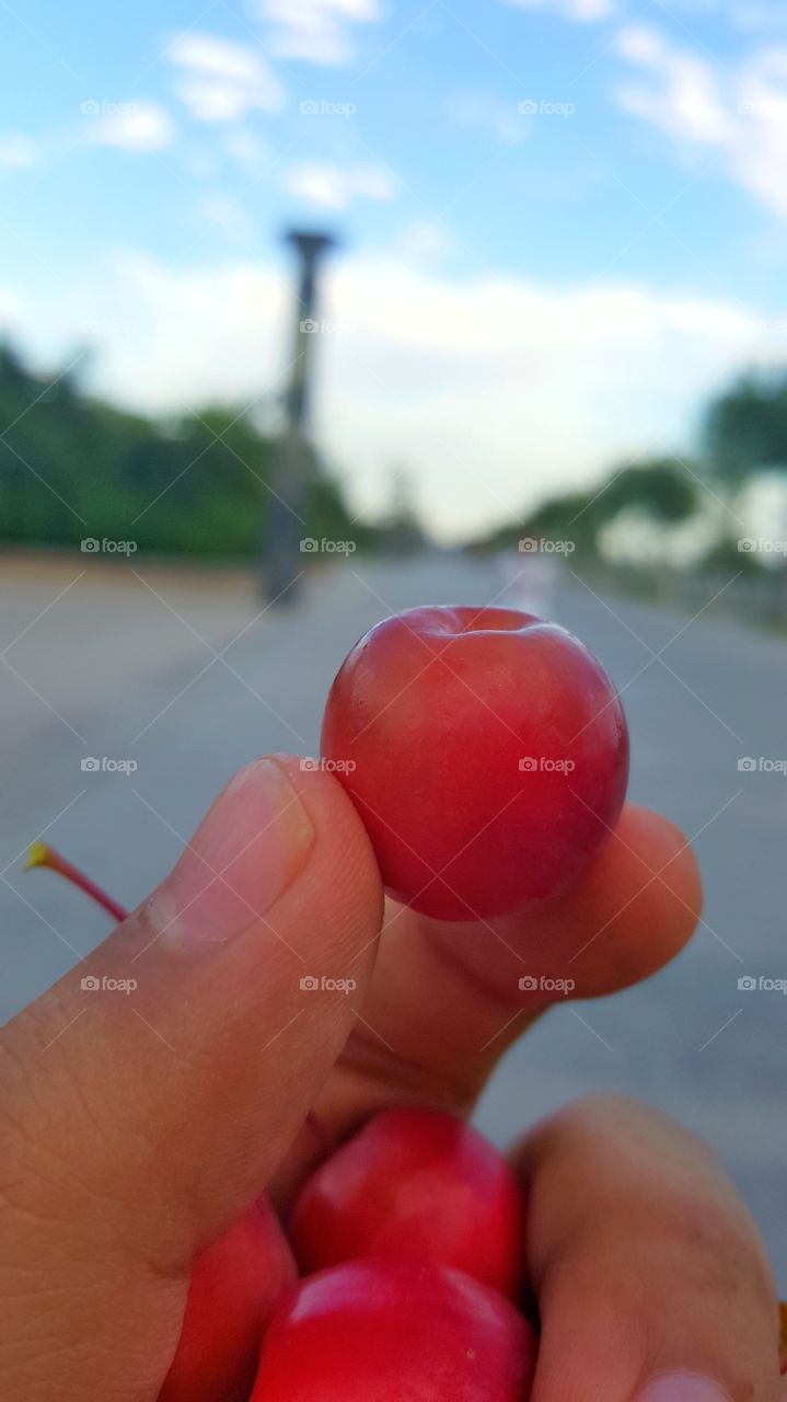 Small apple in China