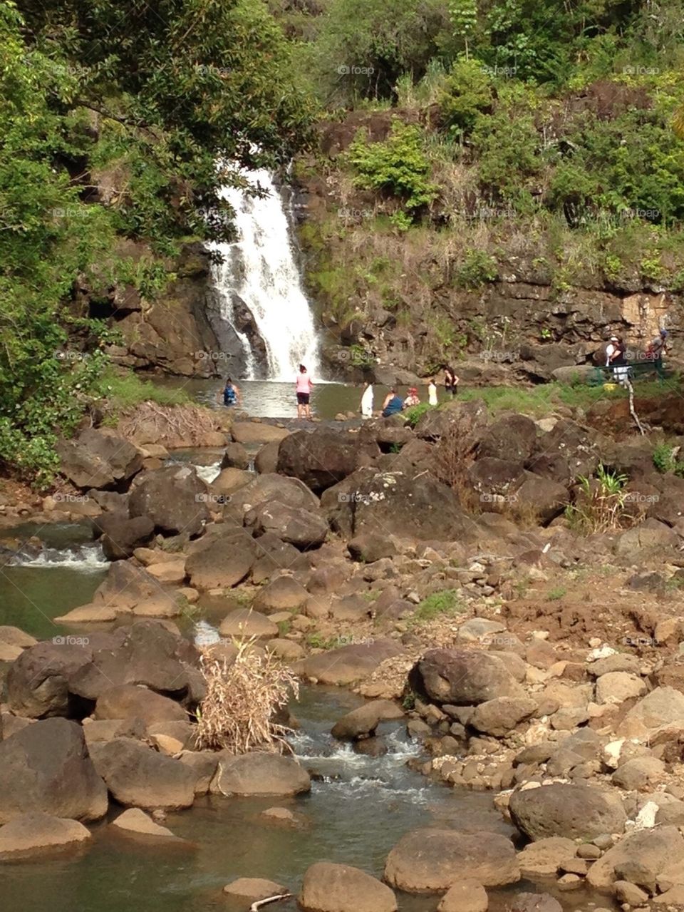 Waimea Falls