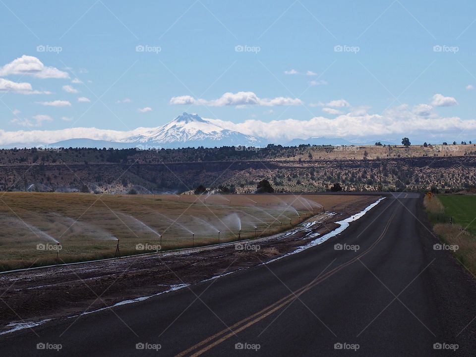 A rural road running through farmland being irrigated in Central Oregon with snow covered Mt. Jefferson in the background on a sunny summer day. 