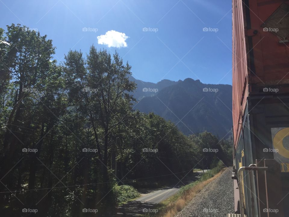 No Person, Tree, Wood, Mountain, Travel