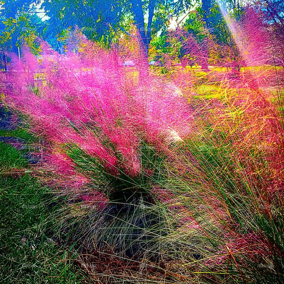 Sunbeams of Color