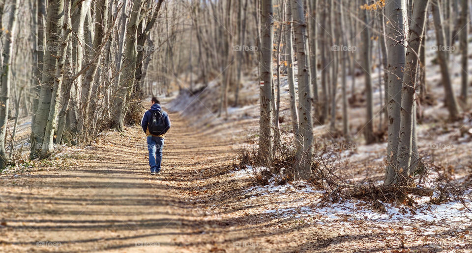 Keep your forest distance