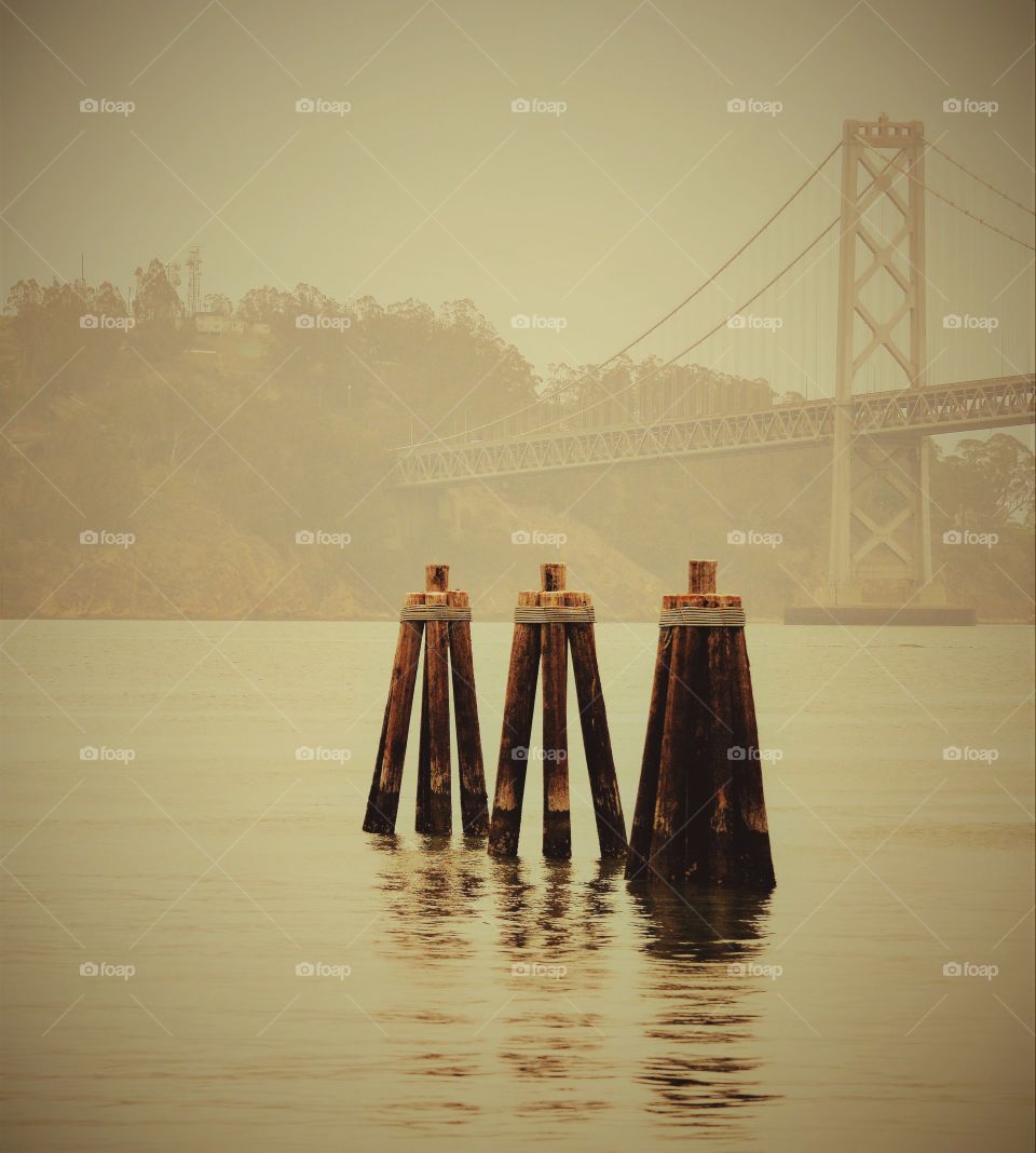 3 Pier Posts in the Bay with a bridge in the background