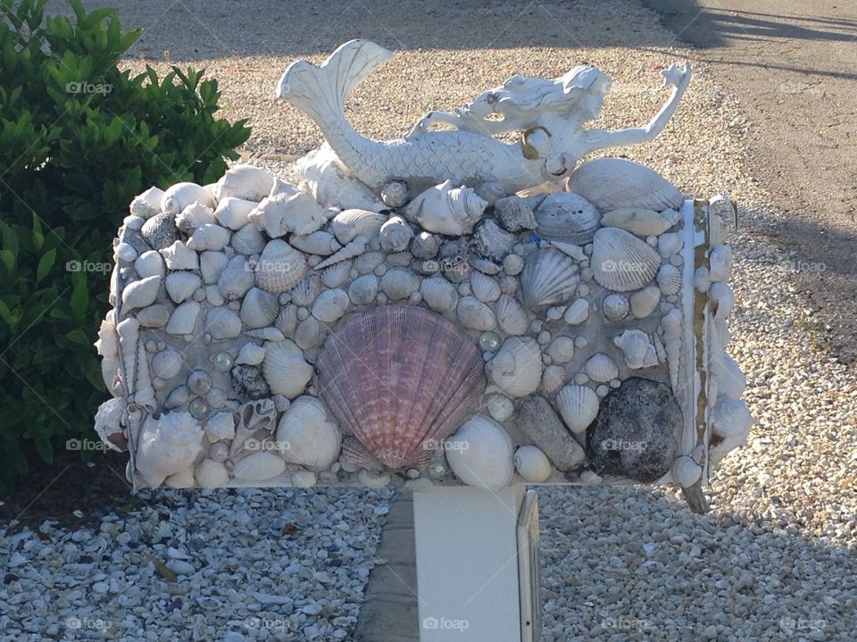Mermaid seashell mailbox 