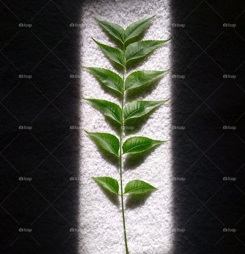 sombra de una puerta