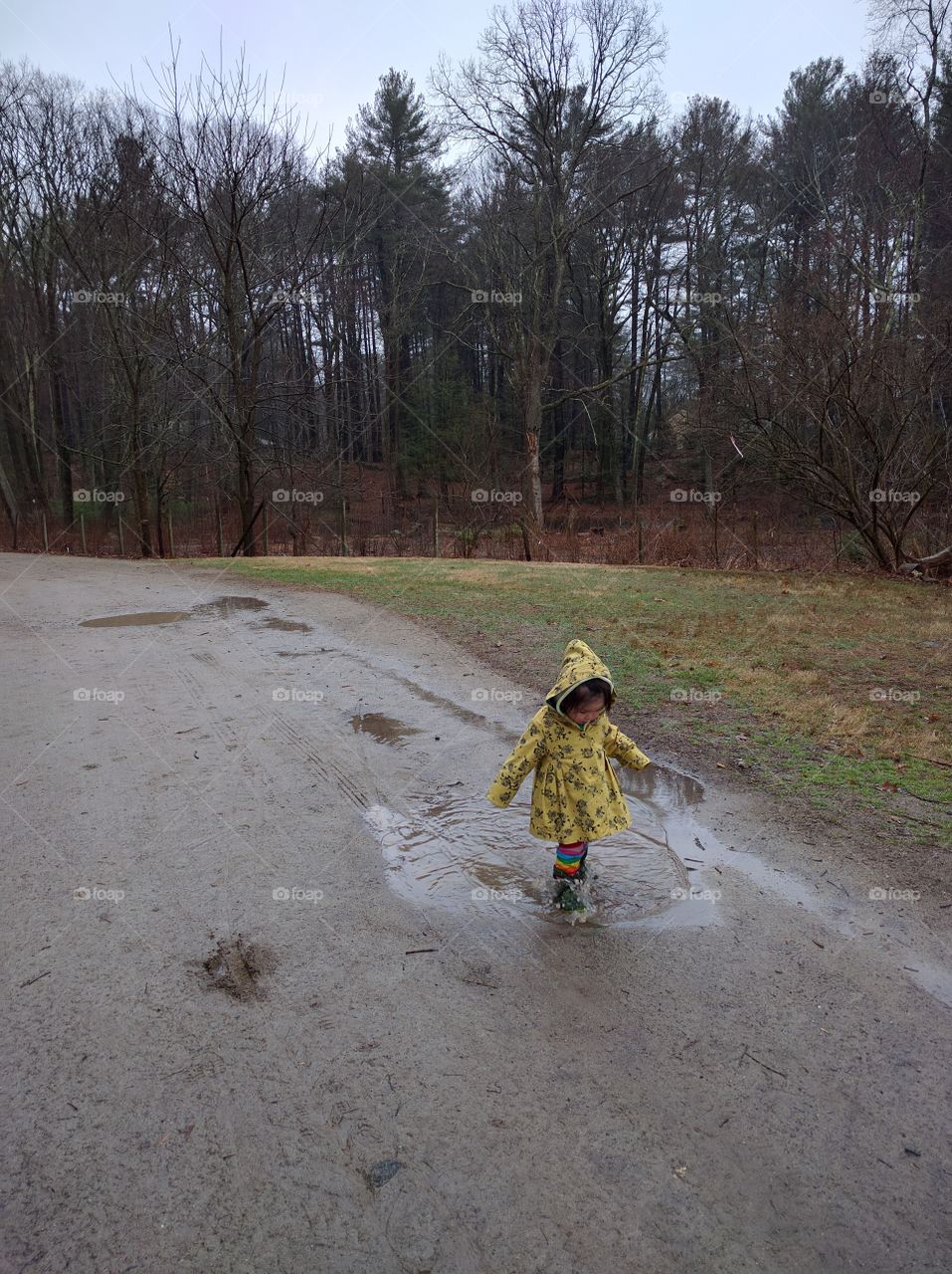 The Puddle Girl