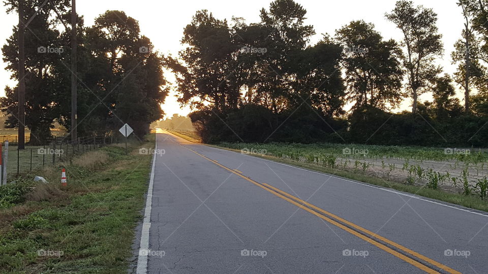 The light at the end of the road