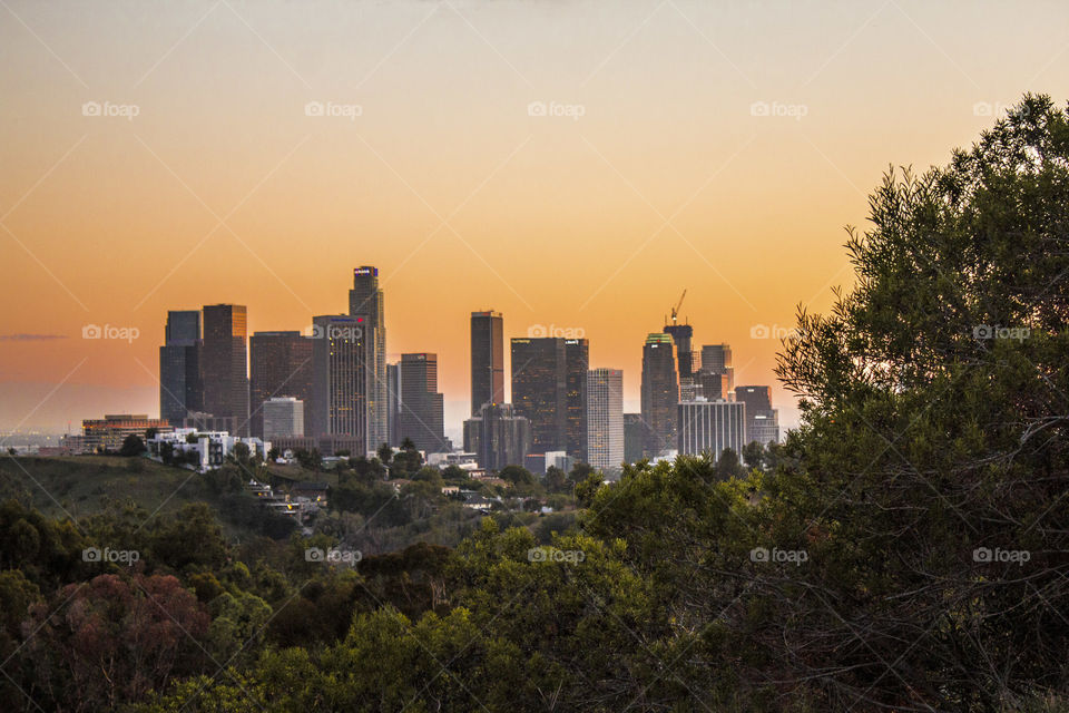Downtown Los Angeles 
