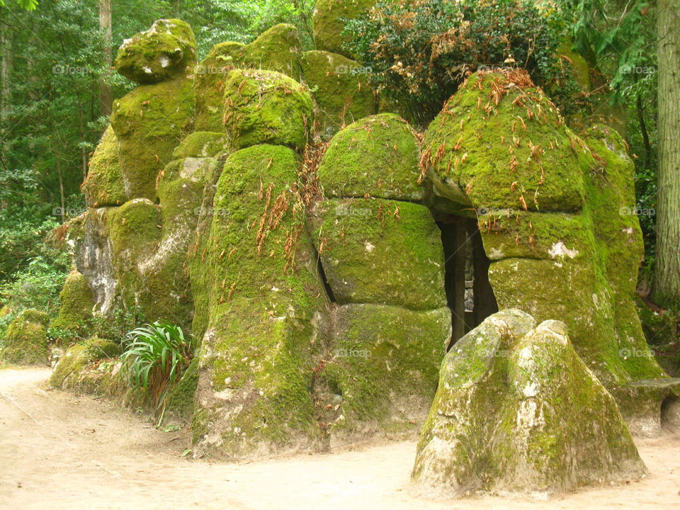 Garden in Sintra in Portugal