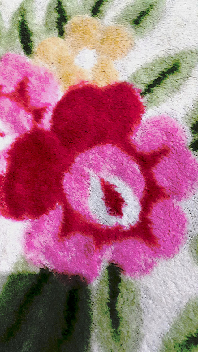 carpet