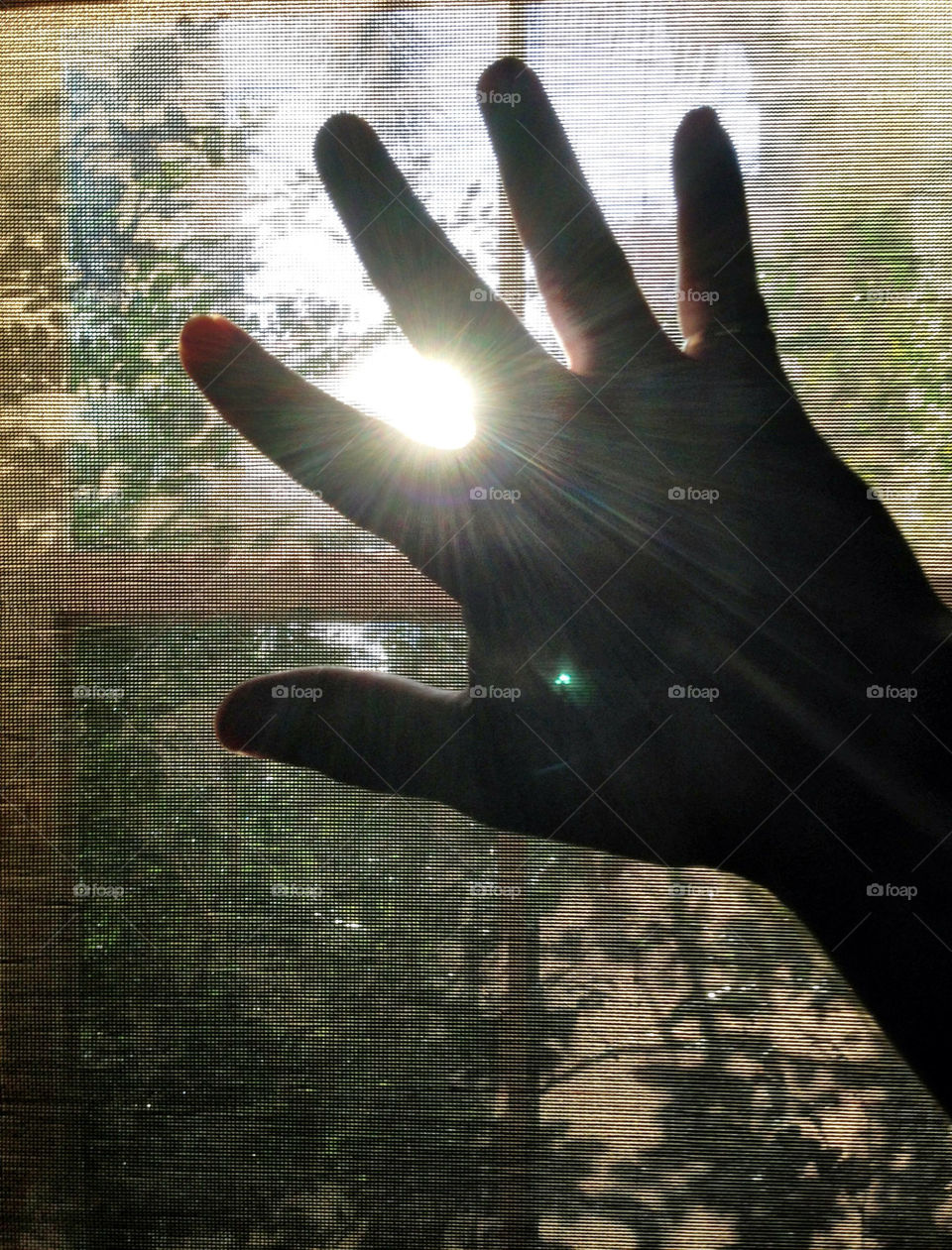 Hand in silhouette against sun in window