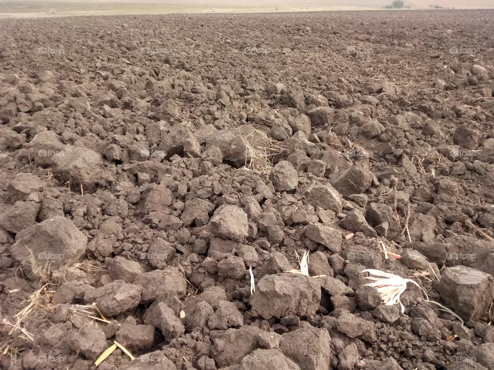 field

 