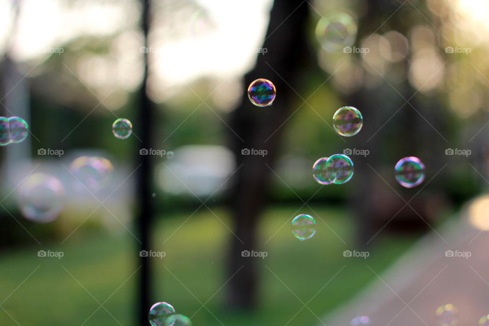 Bubbles 