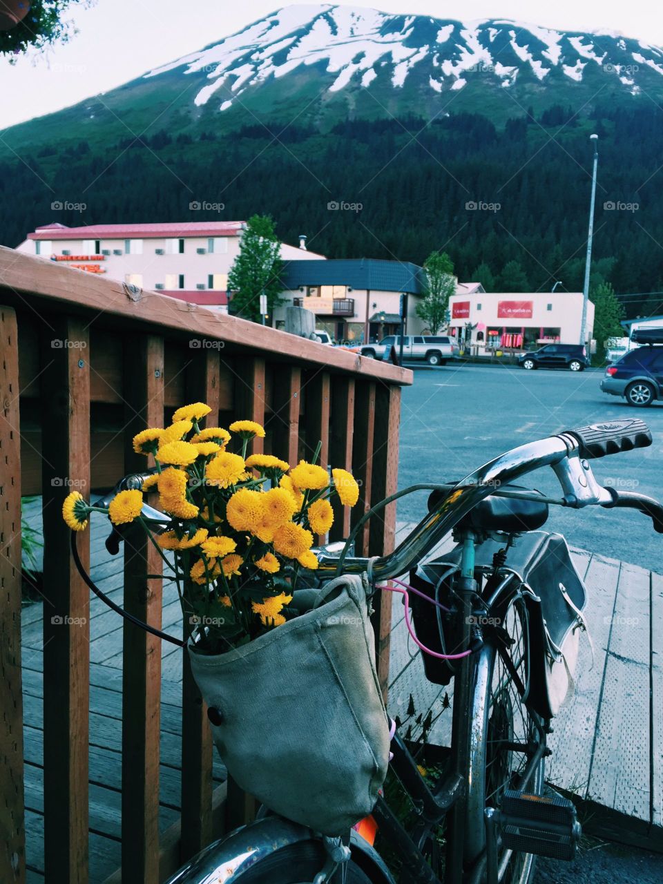 Flowers brighter than the sun, under an Alaskan sky