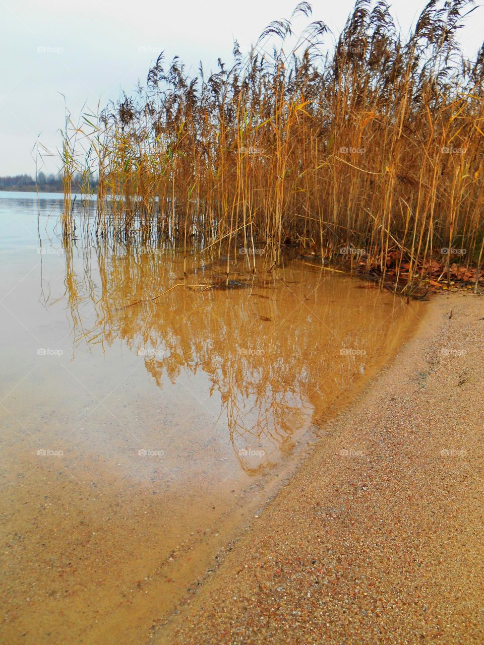 autumn lake