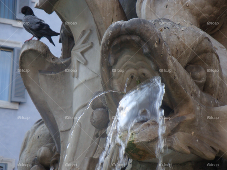 fountain rome by sellershot