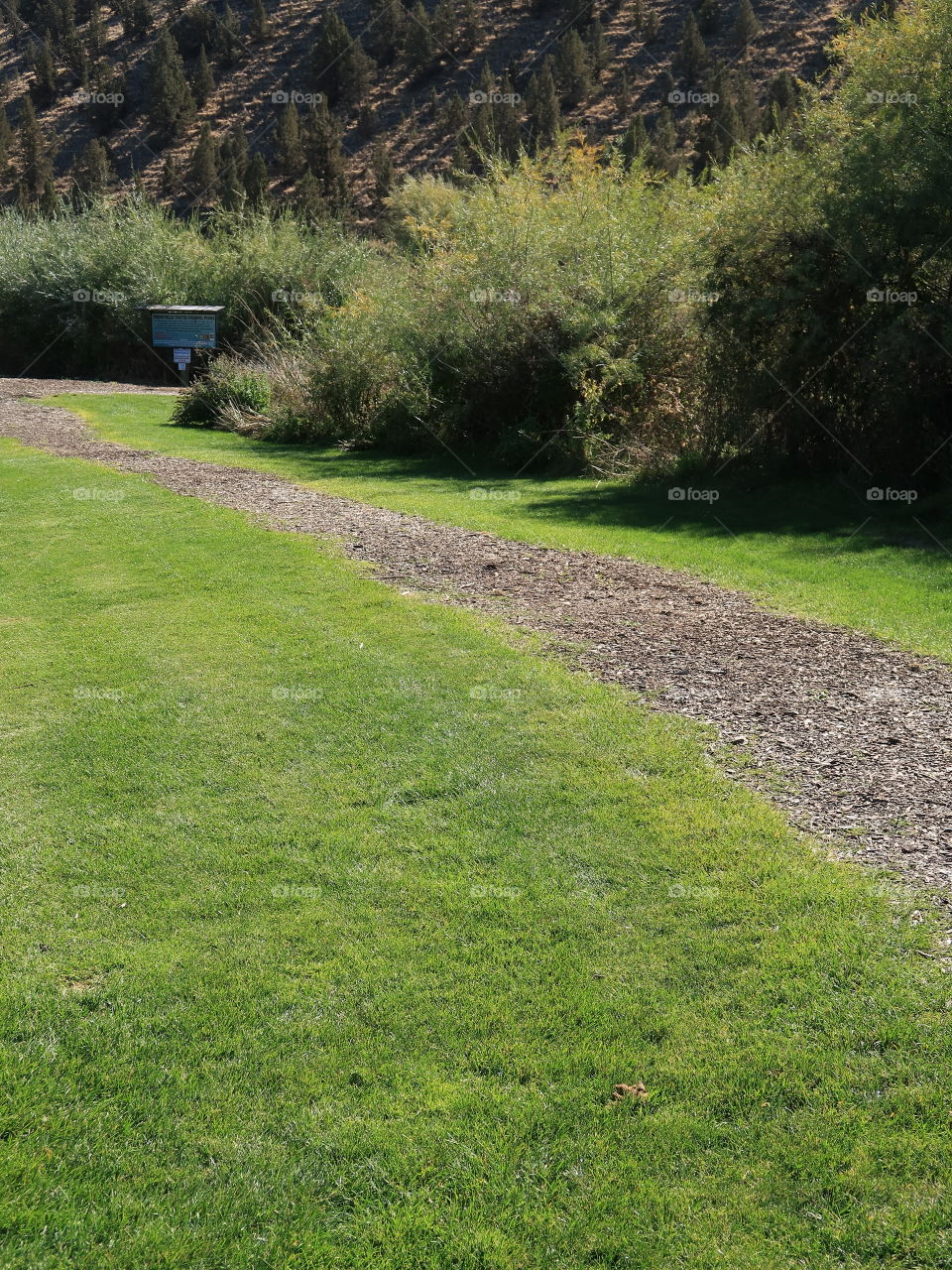 A trail leading to the Prineville Youth Fishing Pond with a sign at Rimrock Park in Prineville on a sunny fall day. 