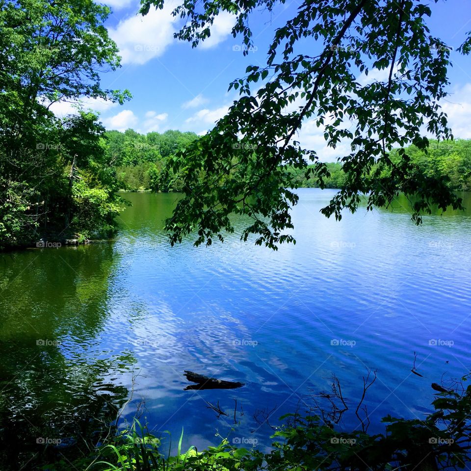 Hike along the lake