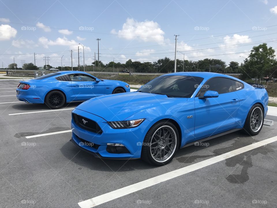 Two Blue Mustang GT's 