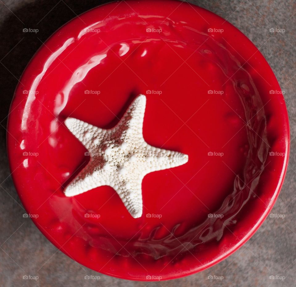 Sea star on red plate 