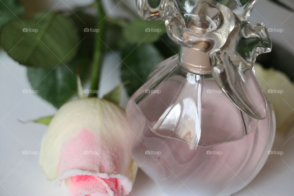 Pink rose and pink bottle with perfume  