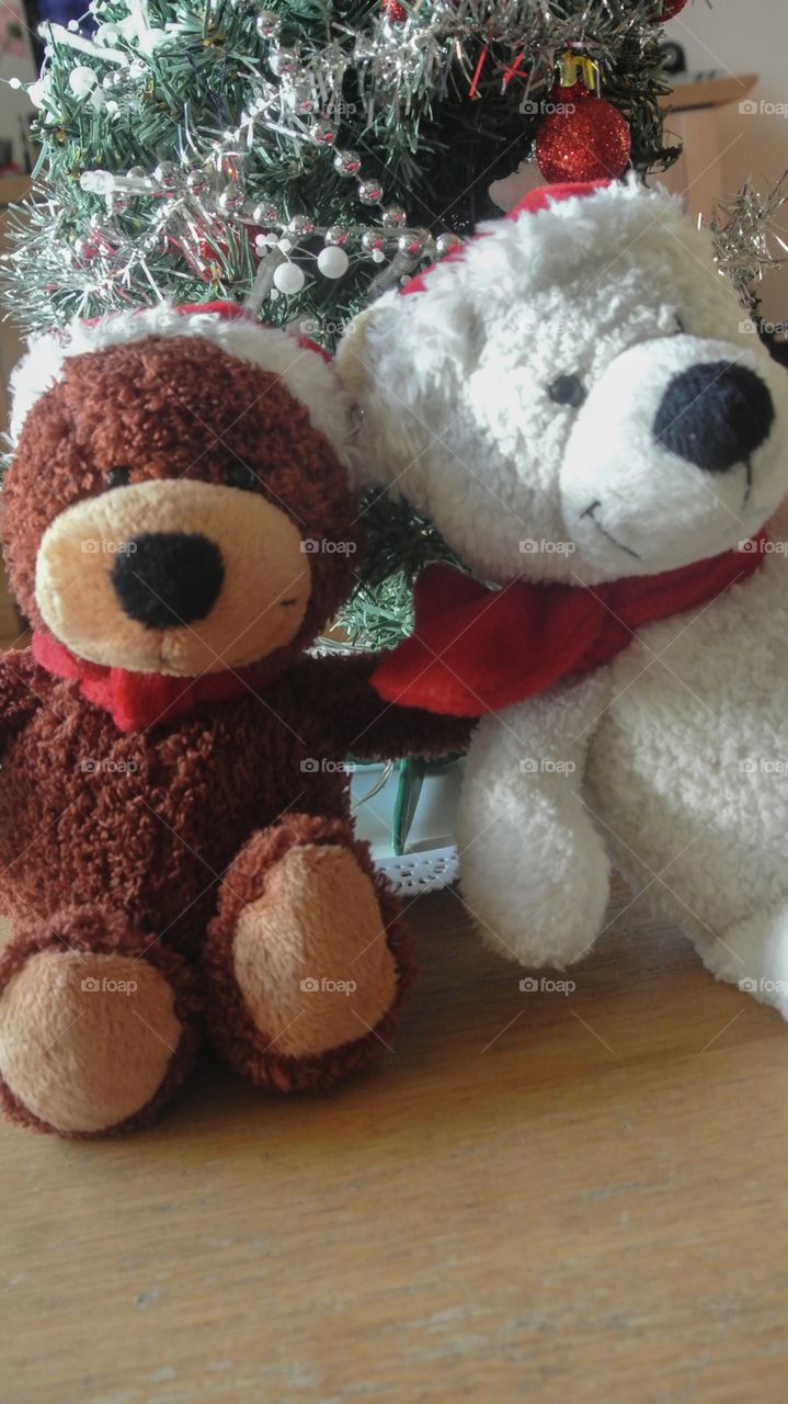 Two stuffed bears cuddling up for Christmas 