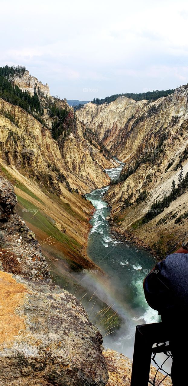 View from Upper Falls at Yellowstone National Park.