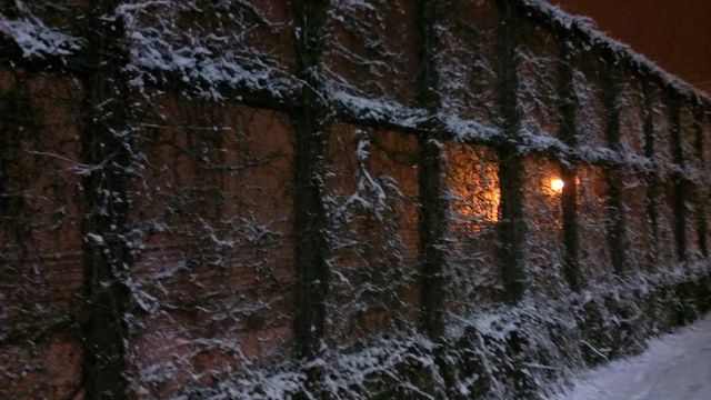 Snow Pattern