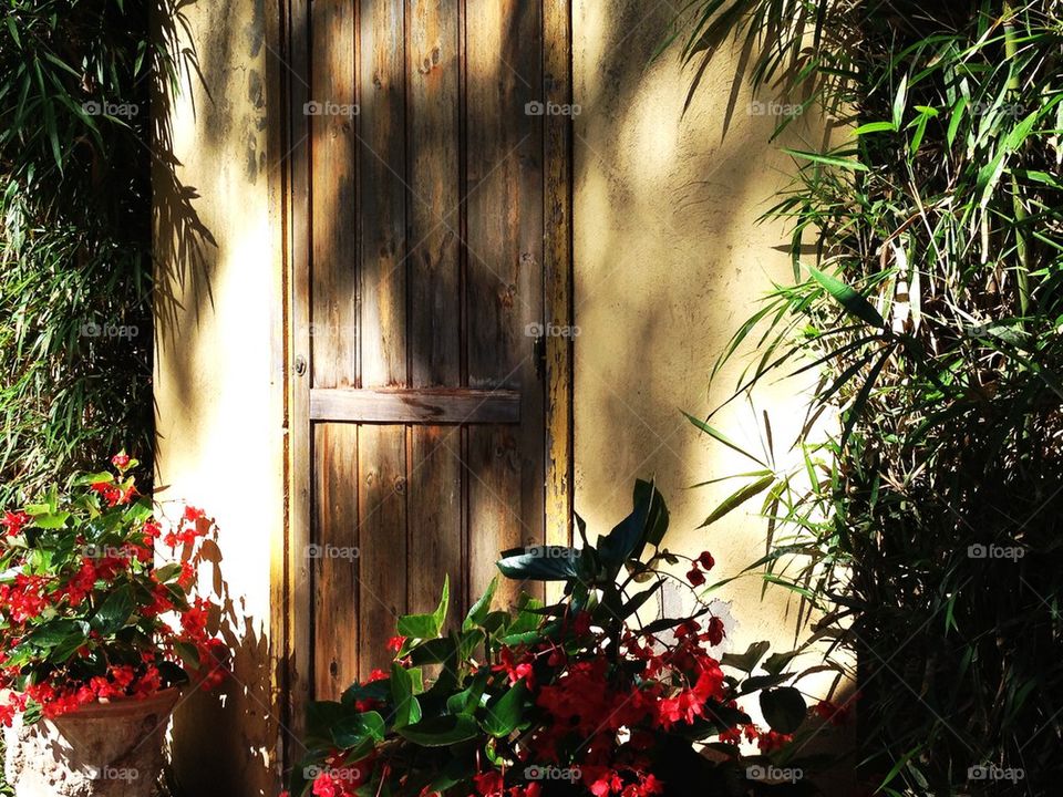 Flowers infront Of the door