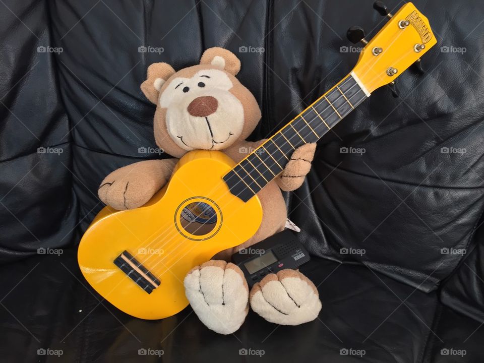 Musical bear