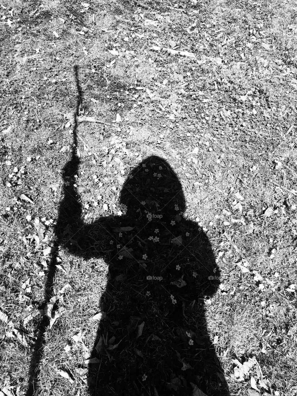 A hooded hiker with walking stick casts shadow on forest floor; monochromatic.