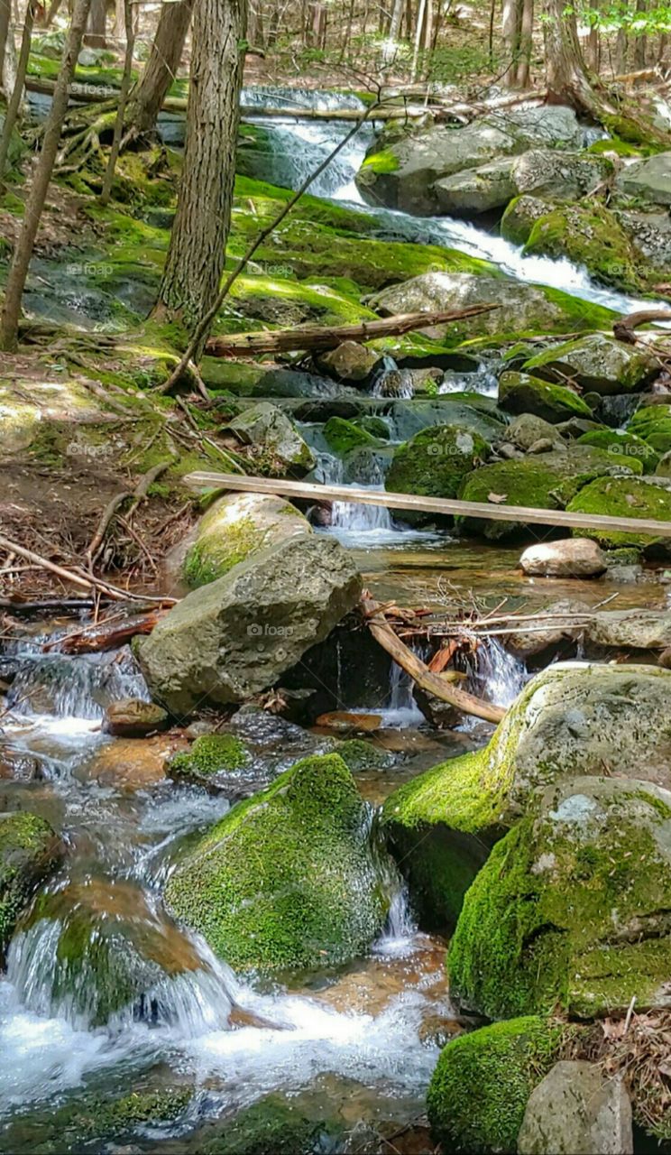 A Cascading Creek!