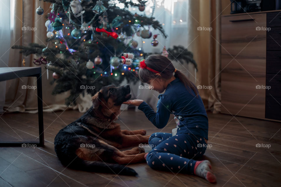 Little sisters with German shepherd puppy near Christmas tree 